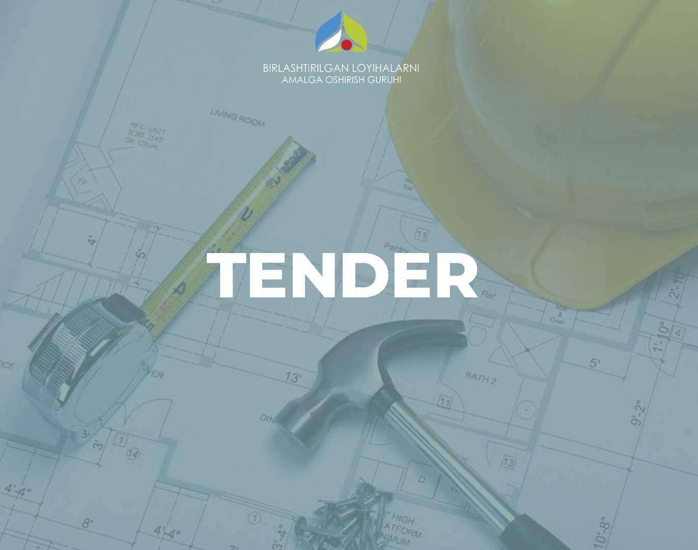 Tender for the execution of design and survey work for the implementation of the “Rural infrastructureDevelopment Project”